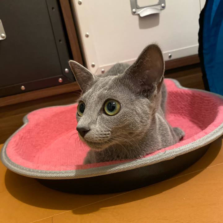 38629dac f573 4edb b457 d109daf49fa4 1598097343836