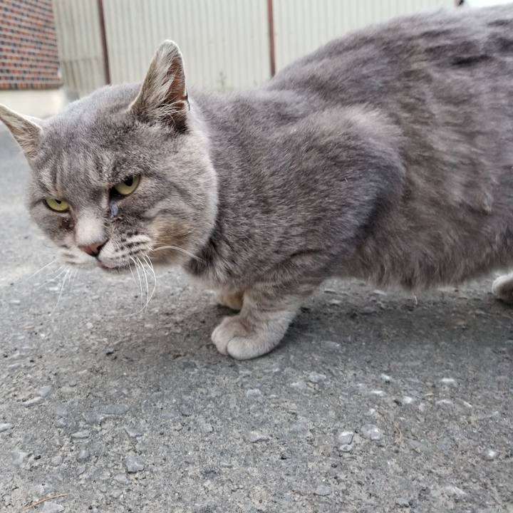 3862c6b7 0389 4372 be25 5fc498fc7bb3 1541591678417