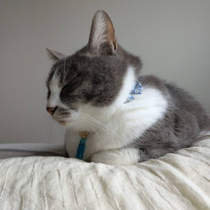 38632f85 f3b7 4e24 964f 8bf335feb41c 1743208829452