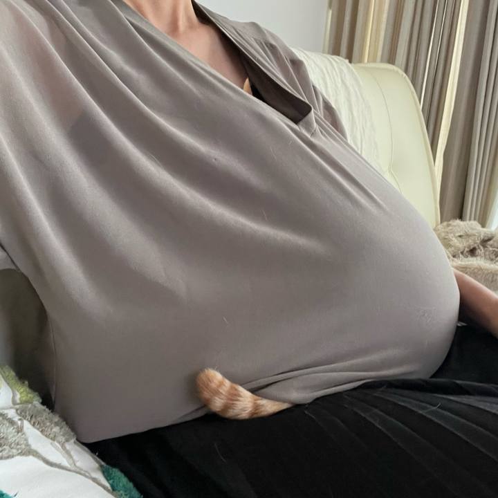 38638a0b 9b65 484d bf86 82f54de1be3f 1668911266694