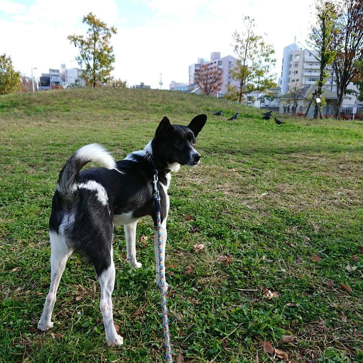 38638d7b 28f4 4f04 ab4e ede3ca717922 1511051538576