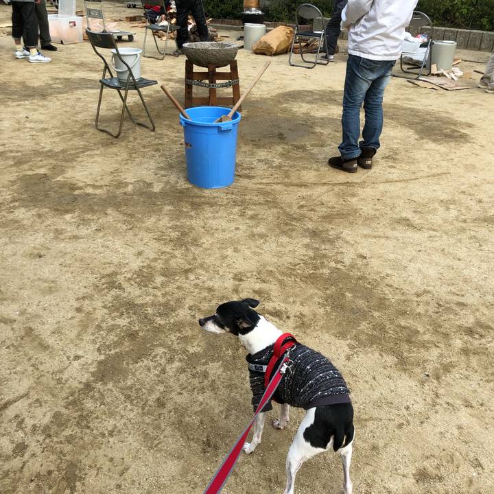 3863af4a 4f96 4ce7 b92e 66e5d7ad9375 1544321276483