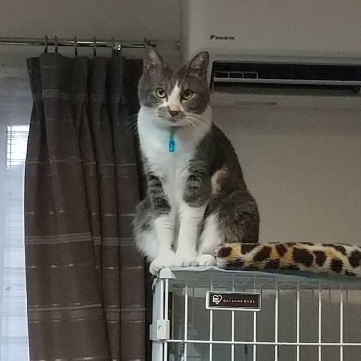 3863db9e 6990 4d6a 8b1b a1bd92eac7c5 1632387680719