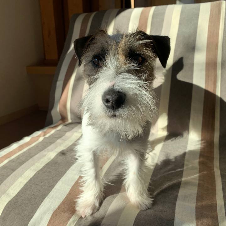 3863f097 8965 45c8 b399 2ca8b2774329 1579564399809