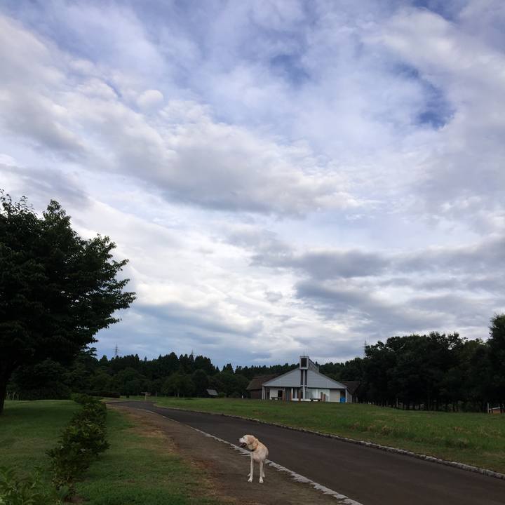 3863f788 7fbb 49e3 a9f6 4c655209d6c9 1549881774748