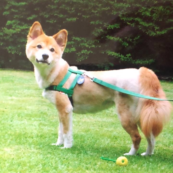 386406c5 45a4 4895 bcd3 aee05dbb8f05 1523015104270