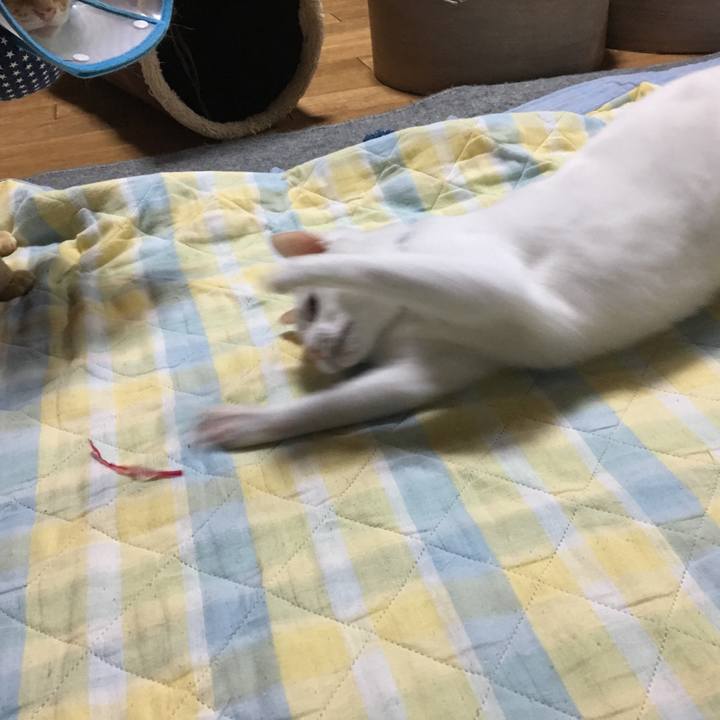 386408fd 4f8e 46dc b746 0e9a5e5ab8a8 1526306417470