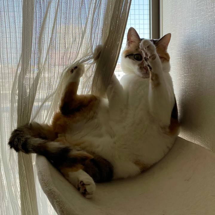 38641a75 1f5e 4857 b704 e49ef0ae3f20 1618457957231