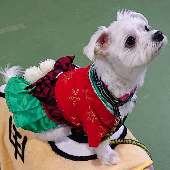 38642ee7 5031 42b2 bd9c 7e58a7407af8 1545480337643