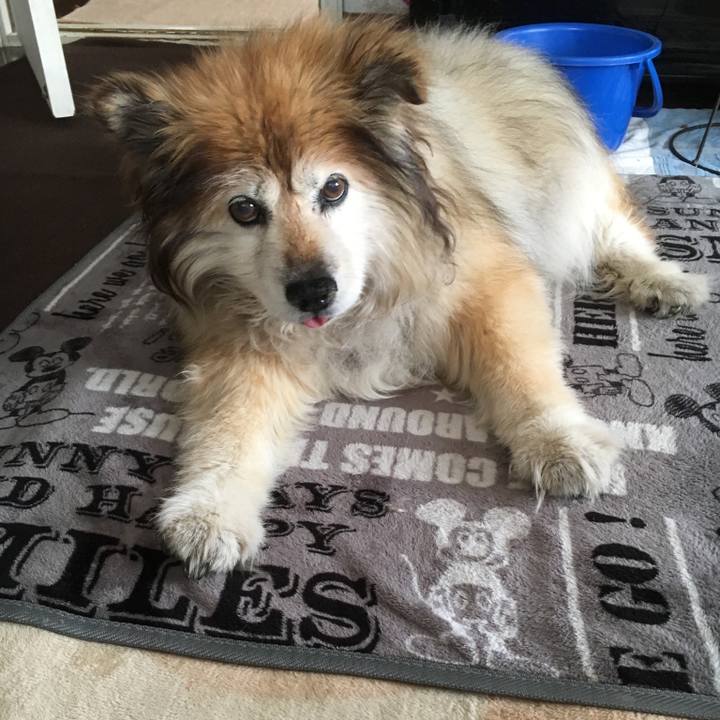 3864823b 4794 4fdf 8905 015f5a23c63a 1582594208032