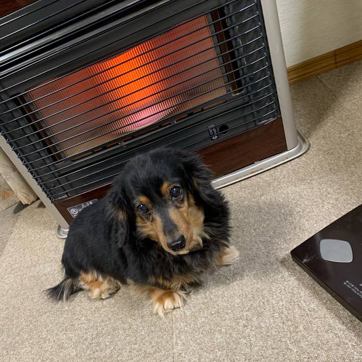 3864b28a 2457 4208 b83c d4f9ce4c706d 1607636750501