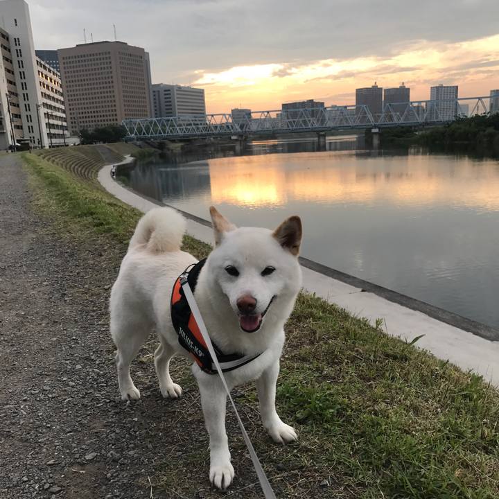 38651f90 9120 45d3 aa44 610ce675f0f9 1526549379429