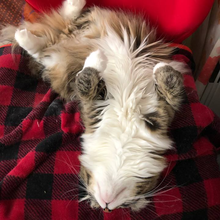 386521b7 8212 4572 b0ef 06ae88e5a4ad 1550816923650