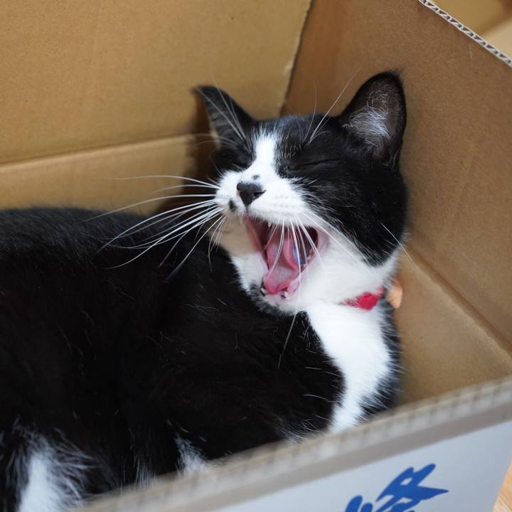 386545d1 cb9e 4fdb 8ed5 304c79cf6c77 1628515599219