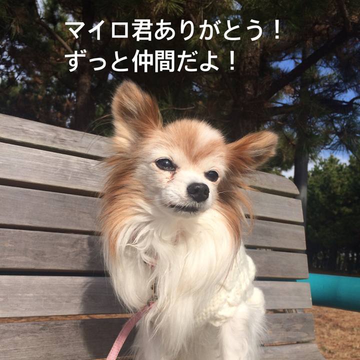 38655c5d 661f 4048 a8f4 0f8f6feda8e8 1562681357171