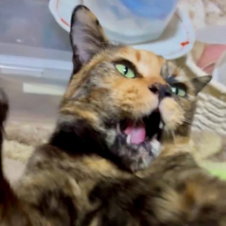 38658c25 d5c4 4d59 bf75 f4330b06f3c5 1764706432252