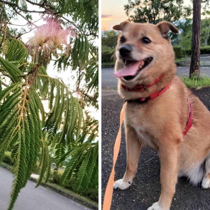 3865d1a5 7f39 46f6 95cf 76674838763d 1753281214257