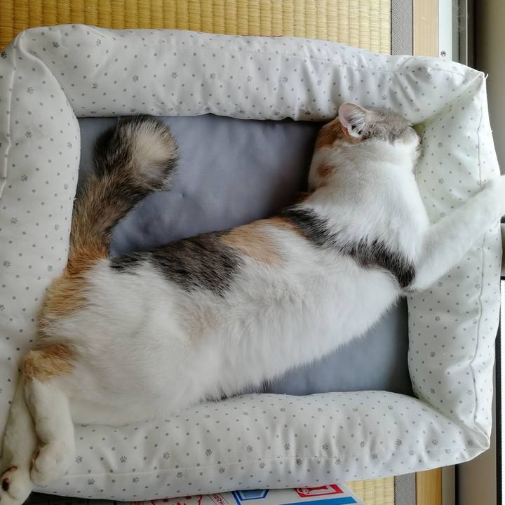 3865d925 41d8 4865 ab25 72da9a0f2496 1559432878814