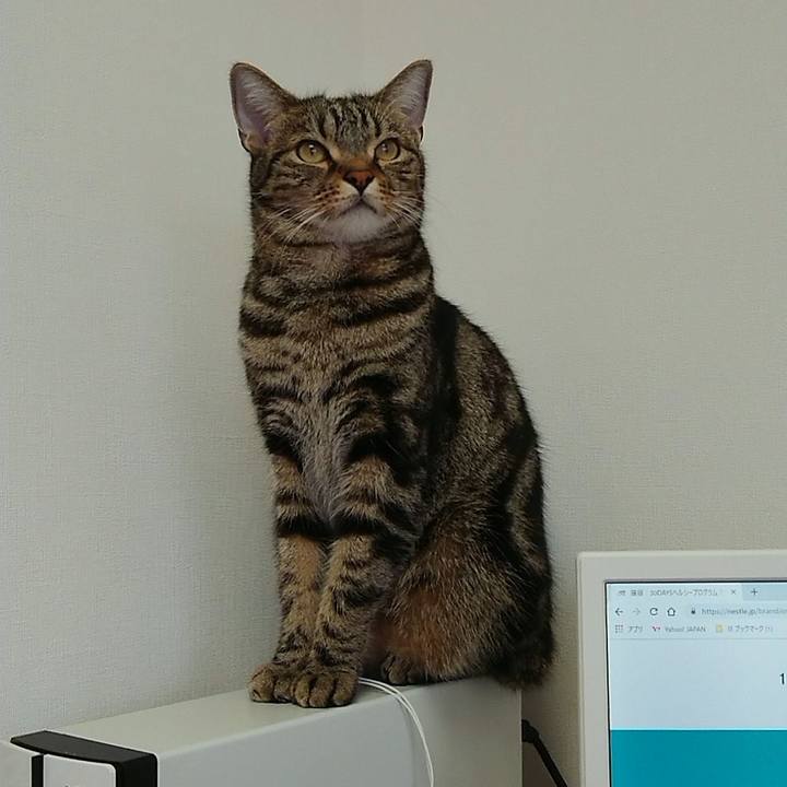 3866583c 272f 4c1b b516 af0cc5972beb 1551579718044