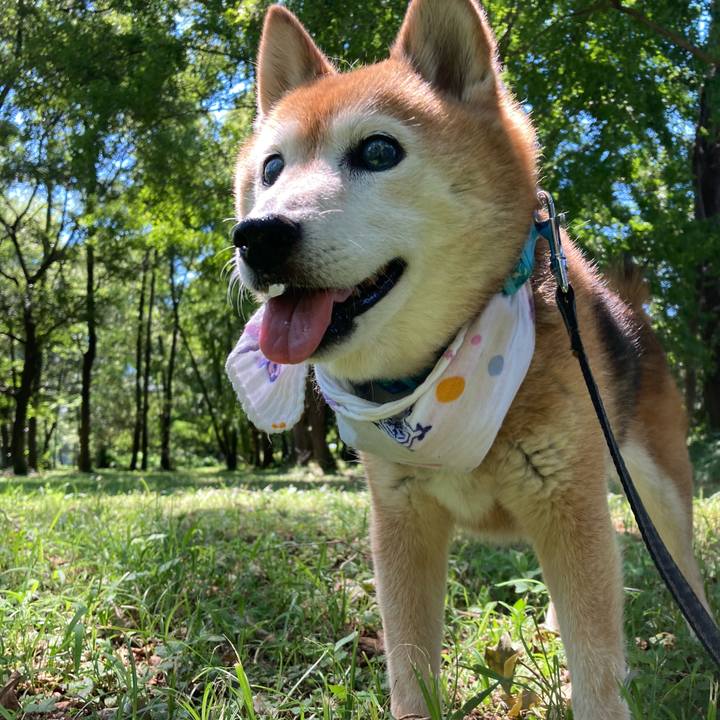 386671b1 6ec4 44cd ac47 815646db1a11 1753065019264