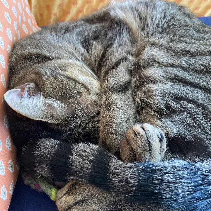 3866a06d 064f 486d b5c4 282d83766478 1763332014057