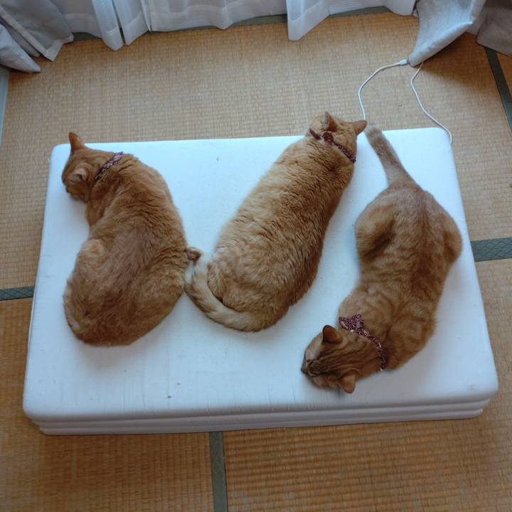 3866d944 ea56 4bea a456 7d818f4ead6f 1631601651937