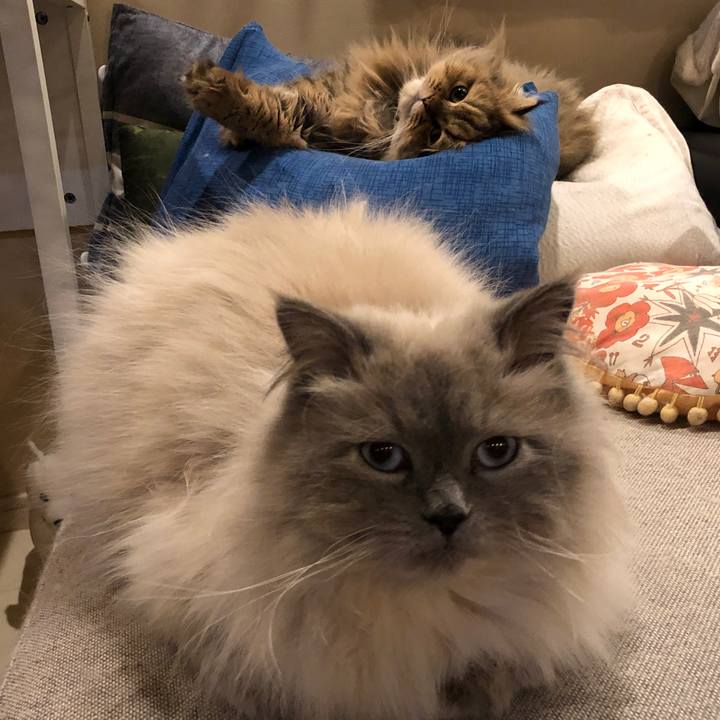 386713bb 193a 4790 ac47 27432b6e7b19 1668950138888