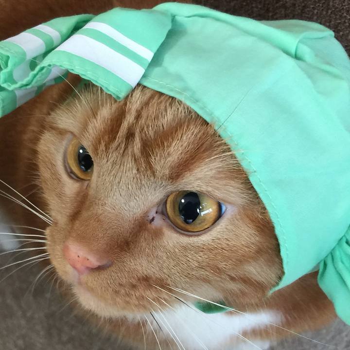 38671e7e f7f2 458f 82a8 d9c4c73a6b5c 1536979068558