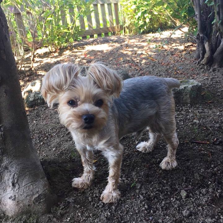 386722cc f172 4237 a7bb b9829c1eafe7 1532650357464