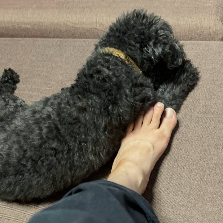 38675378 89ec 46bc a7a7 08b32823f2dc 1752500821140