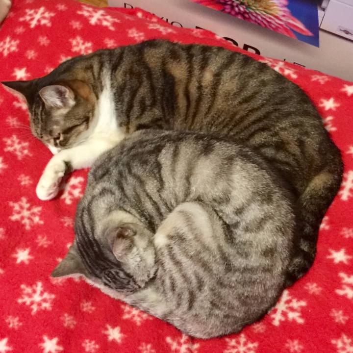 386756d2 d3d7 4fec b960 4a6449fdcdae 1574821898093