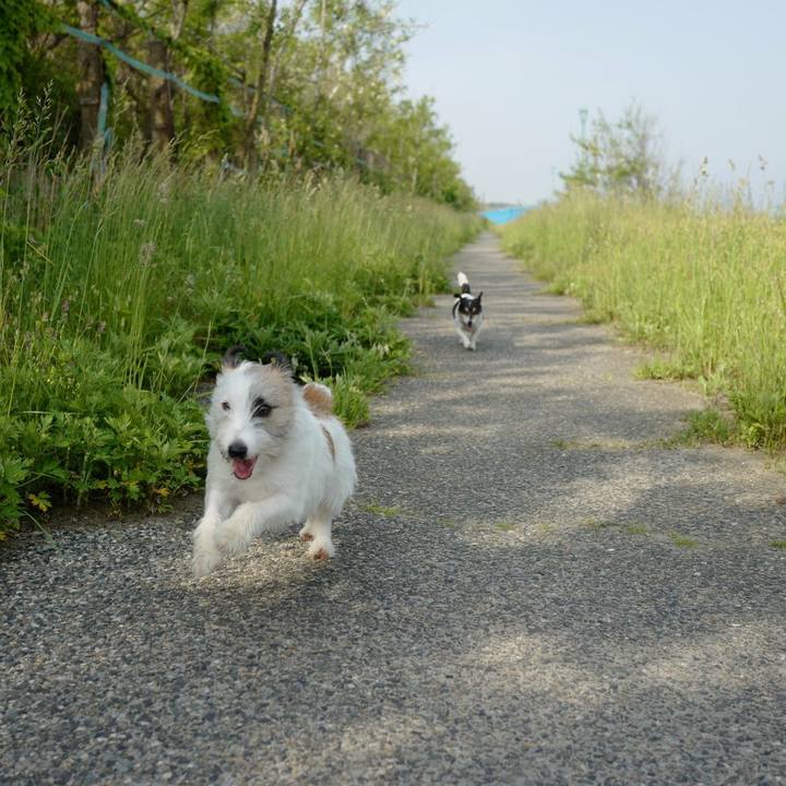 38676487 01a2 4a81 aaed 0a3ec0e72187 1527307205561