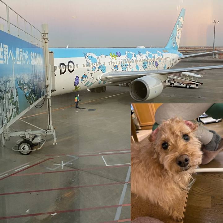 3867687e 11c1 4d0e bbcb 0e951510f7a5 1646096118382