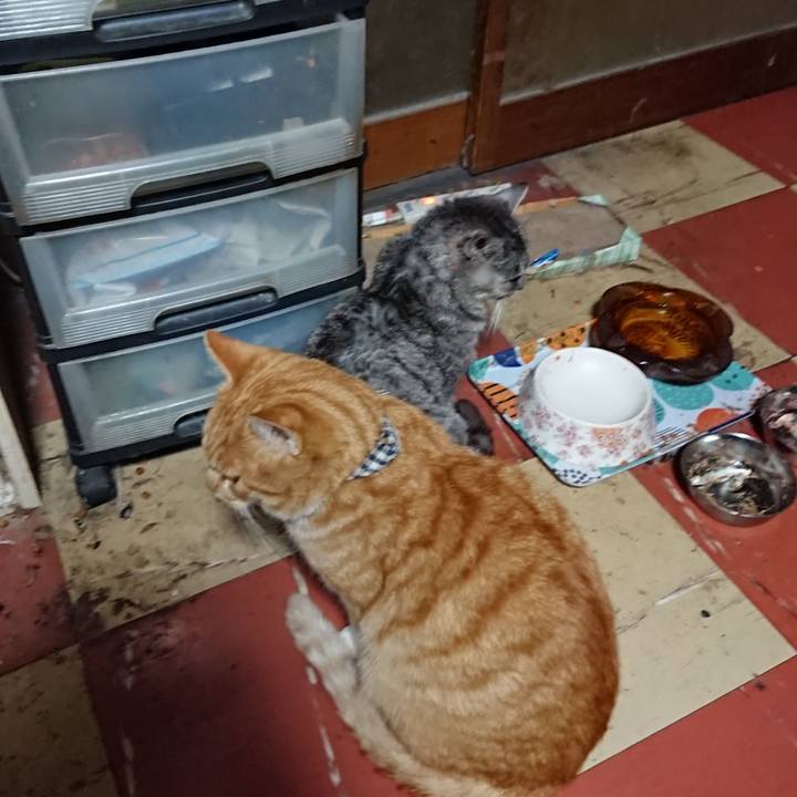 3867b3cf 4554 4258 af04 6df39280ff93 1573674689713