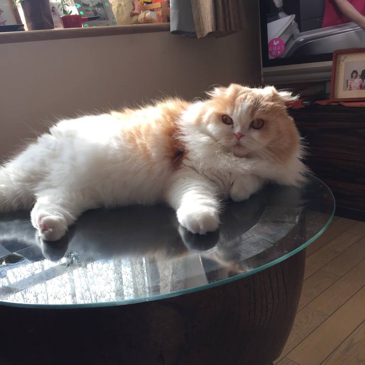 3867c1d6 3823 4a33 8fd6 c77b215238f4 1561502698294