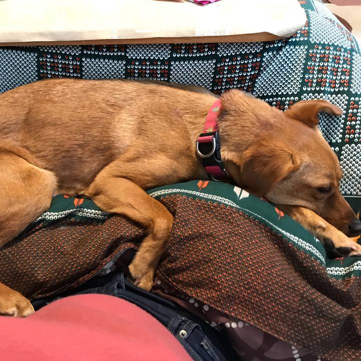 3867c9cd e76d 4e54 9ab4 8932b32e8b4b 1521448392229