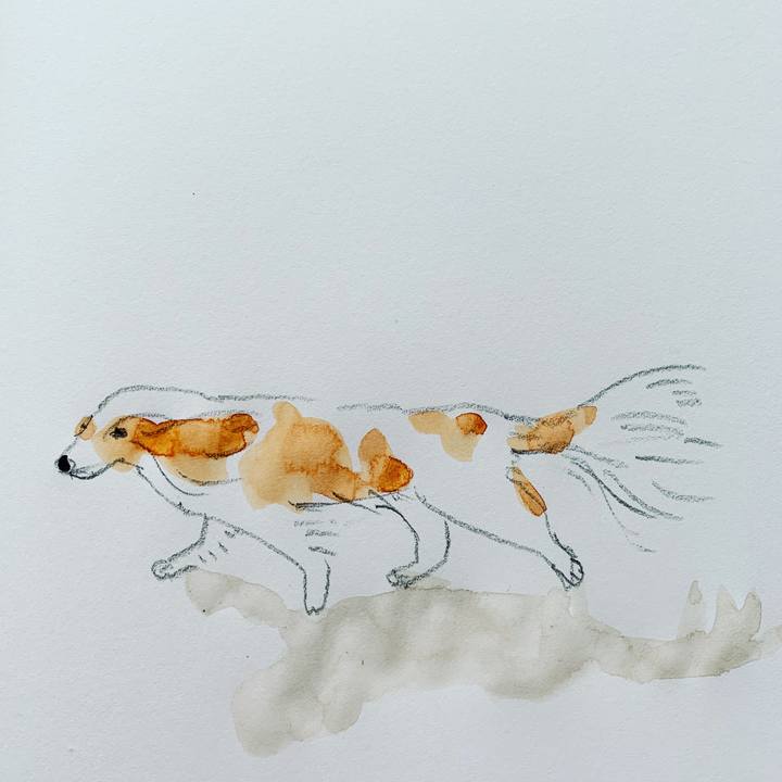 3867e04b 2e28 4323 8b22 c04725060889 1583394163580