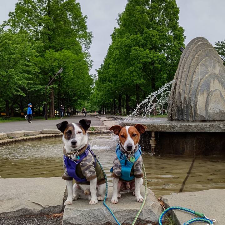 386813cb bd17 4bb5 a03f 435394da5ffe 1651366761443