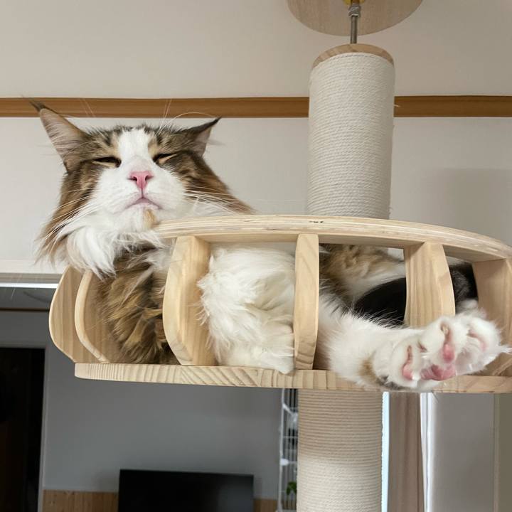 3868578e 9122 4192 863e 9831dfaf4038 1669067979006