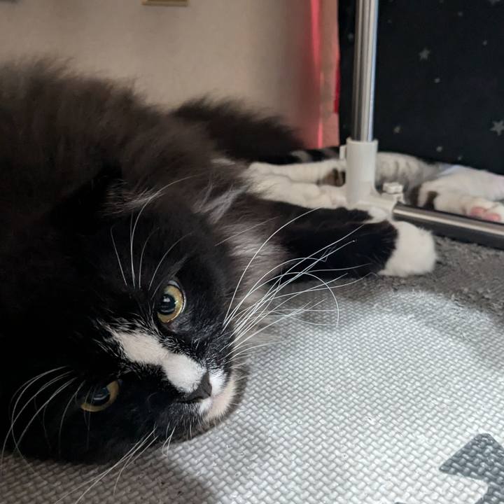 38686407 b737 4843 82ee 02f55135c5a9 1722737732755