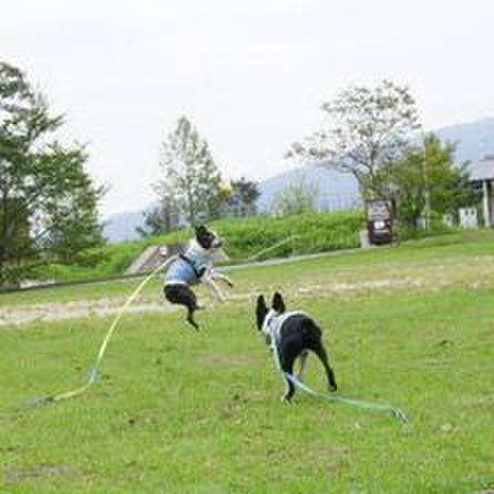 3868951a d246 4cb3 8c61 ba1f9c9b740f 1536812579069