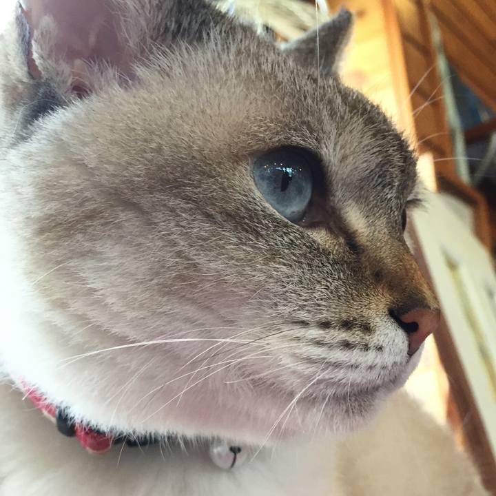 38689d9c ab16 49df 974a 667ae4976697 1533452097747