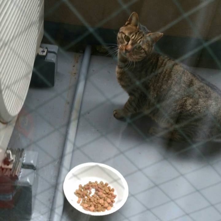 3868c99d 4104 4ee9 8e18 95d50af93024 1514697555001