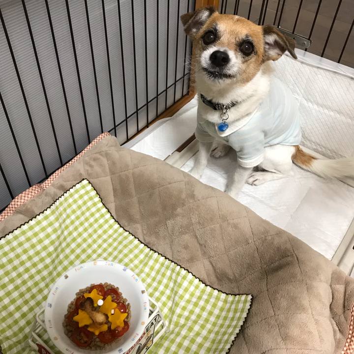 3868ec49 38e0 4fc5 a7a0 41f42d7a385f 1553085169547