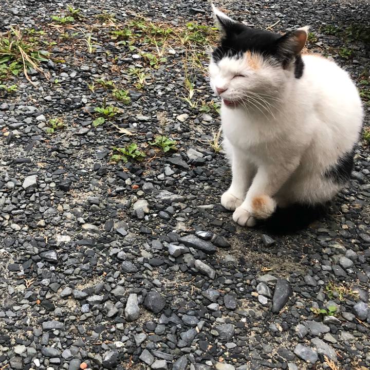 3869018c a26c 43b1 ba5a 50d373d905e0 1603837303765