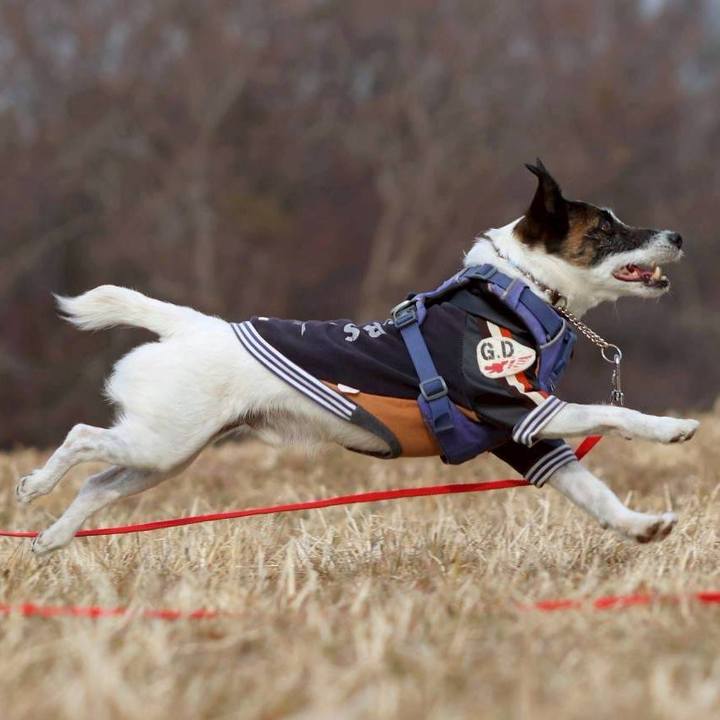 3869082f a9af 440f 8b2d eecb813fb192 1771160148276