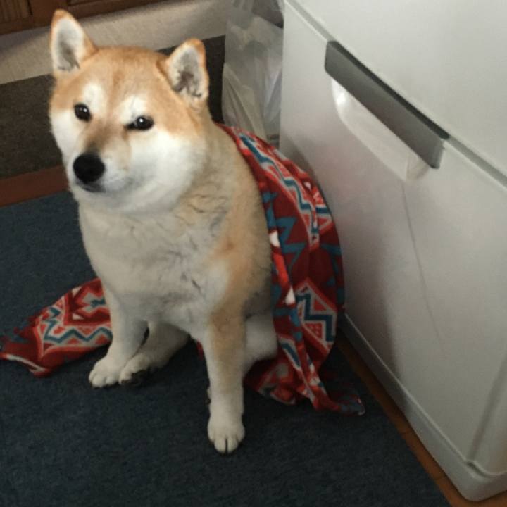 386958f3 fe45 4138 885b a1d90e7fd0f5 1583646198028