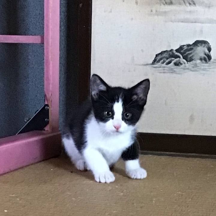 386964b6 2fa7 4f10 b324 2bc602c43c42 1624516082090