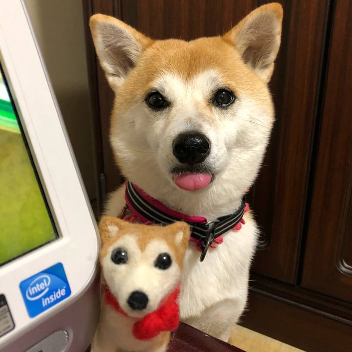 3869653c 707a 4373 822f 80df69bca083 1539232848485