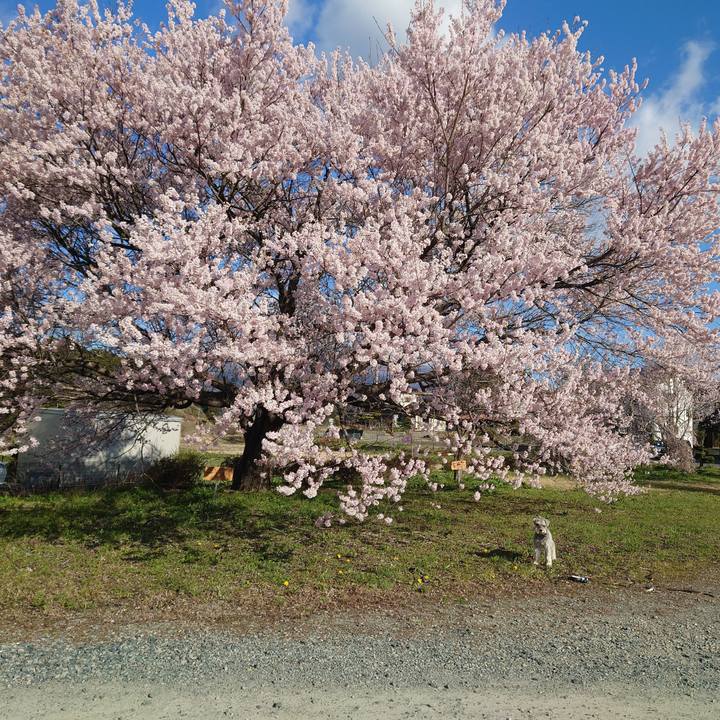 386970df 7f21 490b ba36 8f59504251b5 1775618929659